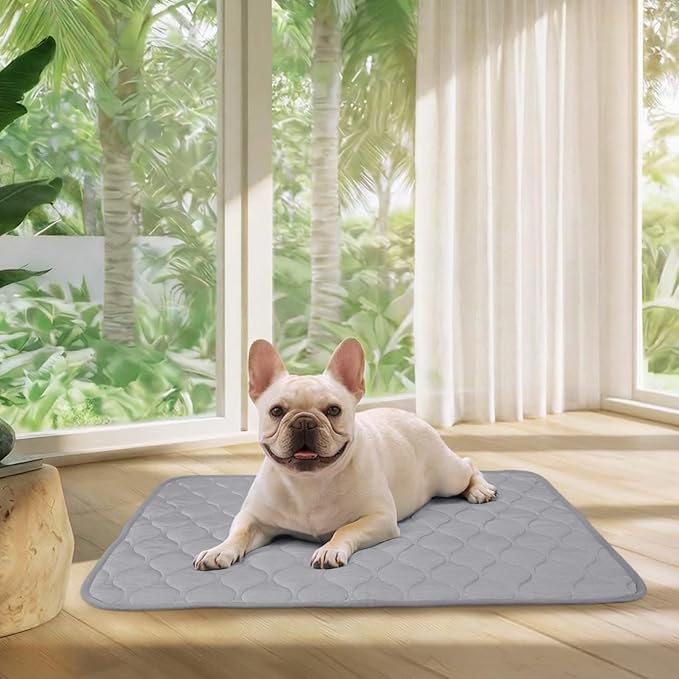 Luciphia Waterproof Cooling Mat for Dogs Couch Cover Q-MAX>0.5, Leakproof Pet Pad Non-Slip Throw Blanket for Cat Puppy Crate Bed Protector Outdoor (Cloud Grey, 30x40 inches)
