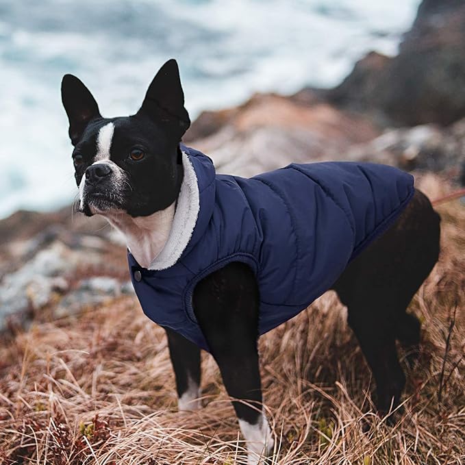 Fleece Hoodie, Windproof Waterproof Coat, Winter Warm Jacket, Cold Weather Pet Apparel Clothes Vest for Small Medium Large Dogs (2XL, Blue)
