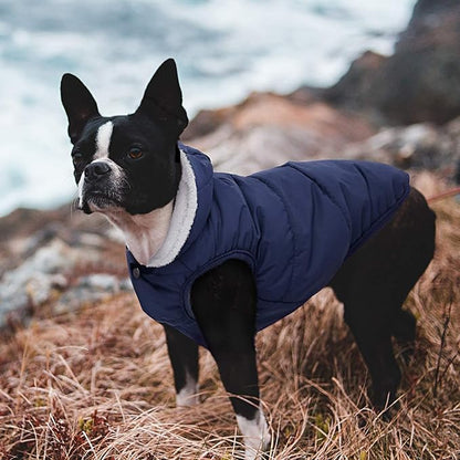 Fleece Hoodie, Windproof Waterproof Coat, Winter Warm Jacket, Cold Weather Pet Apparel Clothes Vest for Small Medium Large Dogs (2XL, Blue)