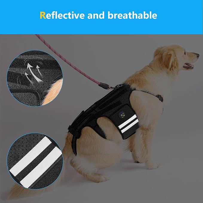 Coodeo Dog Back Brace for Dogs Arthritis, Pet Back Bracer for IVDD, Back Protector Helps Pain Relief, Surgical Recovery and Rehabilitation, Dogs Back Disease Prevention. (Black,X-Large)