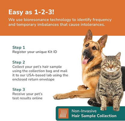 Dog Allergy +1000 Food & Nutritional Sensitivity Test, Pet Intolerance Kit at Home — Advanced Complement to DNA Tests for Complete Pet Wellness