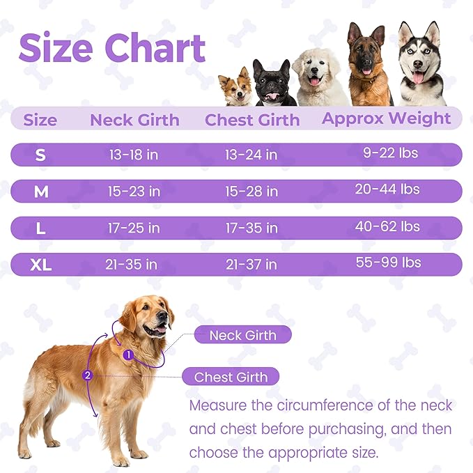 Funfox Dog Harness No Pull, Adjustable Pet Vest Harness Purple S with Handle, 2 Leash Clips for Daily Walking Easy Control, Soft Durable Reflective Comfortable for Small Sized Dogs