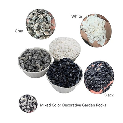 1LB Natural Gravel Pebbles, Cactus and Succulent Plants Pebbles, Small Decorative Polished Stones, Mixed Color River Rocks for Potted Plants, Vases, Aquariums, Terrarium and Outdoor Gardening