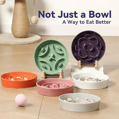 Ceramic Dog Slow Feeder Bowl - Small Dog Food Dish with Maze Puzzle Design - Slow Eating Puzzle Feeder for Pet Feed & Food Control - Whisker-Friendly Bowl for Cat Feeding - 6.3 Inch - 180 g - White