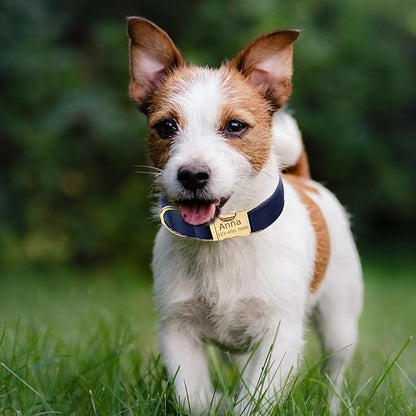 Personalized Velvet Dog Collars with Pet Name Phone Number Engraved, Custom Adjustable Soft Collar with Metal Buckle for Small Medium Large Dogs, Dog Leash and Bow Tie Available -Dark Blue