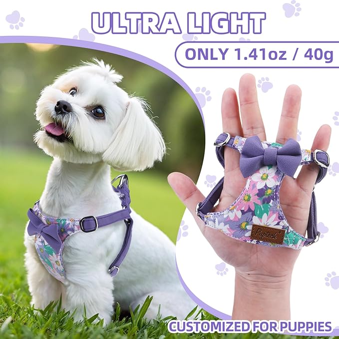 PUPTECK Dog Harness and Leash Set Small Sized, Step-in Cute Puppy Harness, Soft Lightweight Padded Vest, Escape Proof No Pull Pet Harnesses Easy for Walking, Flower Purple, XS
