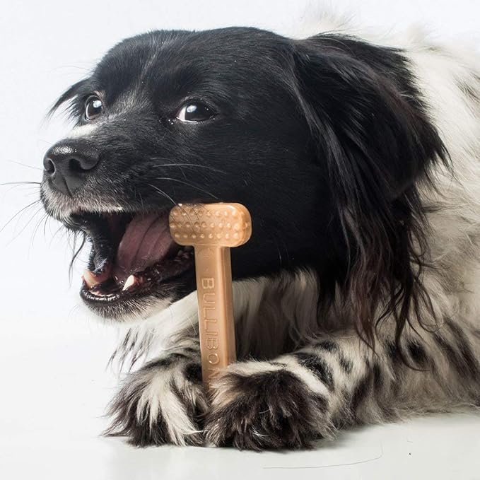 Bullibone Nylon Dog Chew Toy Nylon Bone - Improves Dental Hygiene, Easy to Grip Bottom, and Permeated with Flavor (Bacon, Small - 2 Pack)