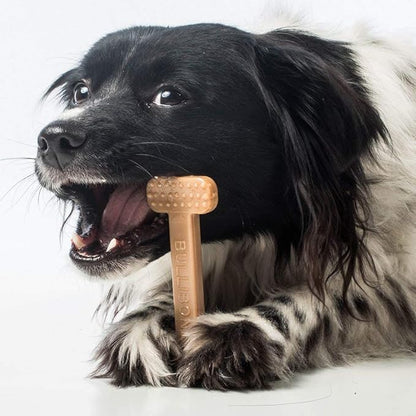 Bullibone Nylon Dog Chew Toy Nylon Bone - Improves Dental Hygiene, Easy to Grip Bottom, and Permeated with Flavor (Peanut Butter, Small - 2 Pack)