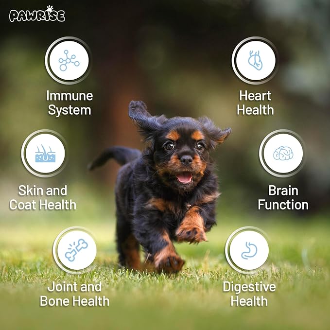 Freeze-Dried Dog Multivitamin – Probiotics, Glucosamine, Omega-3, Vitamins & Minerals for Immune, Joint, Skin & Coat Support – 200 Chews