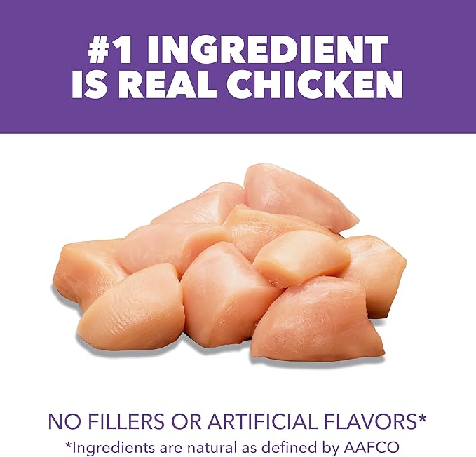 IAMS Proactive Health Healthy Kitten Dry Cat Food with Chicken, 7 lb. Bag