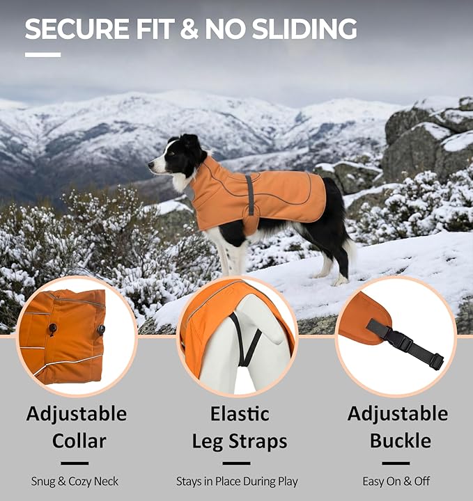 Softshell Dog Coat for Winter Walks and Hiking, Windproof and Water-Repellent Jacket with Harness Opening and Reflective Strips, Ideal Stocking Stuffer for Active Dogs (Aurantium, Medium)
