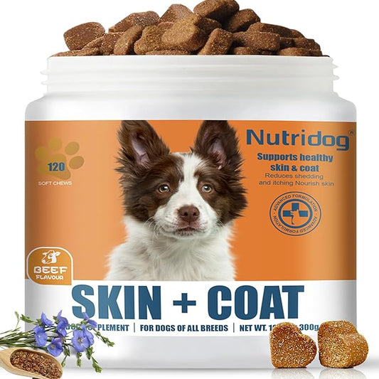 Skin & Coat Supplement for Dogs - Allergy Relief Chews with Omega 3, 9 & Vitamin E, Itchy Skin Treatment, Beef Flavor Soft Chews (120 Count) (Beef)