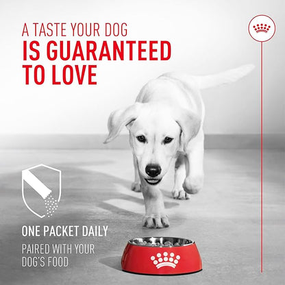 Royal Canin Probiotics for Dogs Digestive and Immune Health Powder Supplement for Dogs of All Ages, 30 Count (Pack of 2)