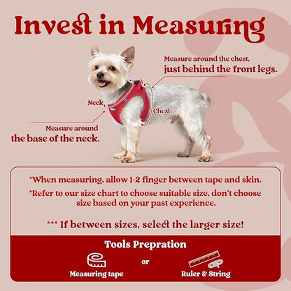 rabbitgoo Small Dog Harness, Step-in Soft Mesh Puppy Vest with Safety Buckle, Breathable Reflective Pet Harness for Extra Small Dogs, Red XXS