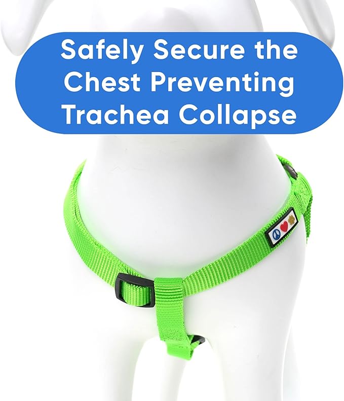 Pawtitas Personalized Dog & Puppy Harness Extra Small Green Custom ID Tag Adjustable No Pull Vest
