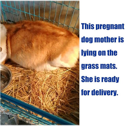 Grass Mat Woven Bed Mat for Small Animal 3PCS Large Bunny Bedding Nest Chew Toy Bed Play Toy for Guinea Pig Parrot Rabbit Bunny Hamster Rat