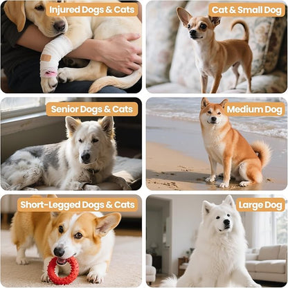 3-in-1 Dog Ramp with Storage – Pet Stairs for Dogs & Cats, Easy on Joints for Senior & Injured Pets, Hidden Storage Footstool, Anti-Slip, Supports 220 lbs, 18" High for Beds & Sofas