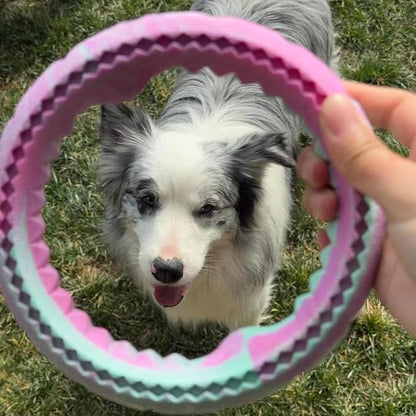4Pcs Tough Durable Ring Toy for Dogs Tug Ring Strong Rubber Dog Fetch Toy for Small Medium Breeds Multi-Color Pack of 4
