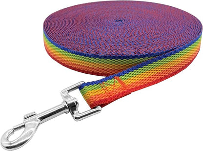 Nylon Training Dog Leash for Small Medium Large Dogs, 15ft 20ft 30ft 50ft Long Leash Dog/Puppy Lead for Obedience Recall Training, Camping (30ft, Rainbow)