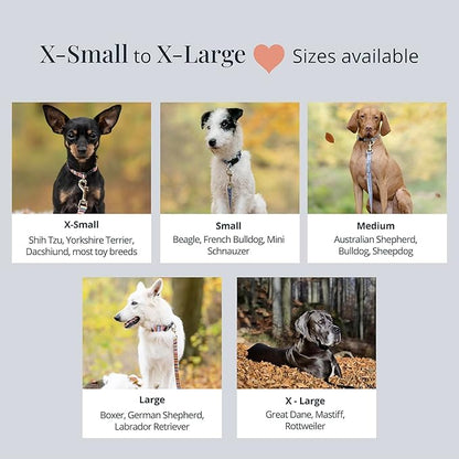 Lucky Love Dog, Boho Chic Matching Dog Collar and Leash Set, Vivid Pink and Turquoise Collar and Leash for Dogs, Soft, Adjustable, Safe for Training and Walking - (Large, Clara Combo)