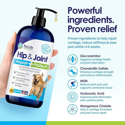 Liquid Glucosamine for Dogs - Advanced Joint Supplement for Dogs Ages with Chondroitin, MSM & Hyaluronic Acid - Repairs & Protects Joints, Supports Mobility & Pain Relief - 16oz