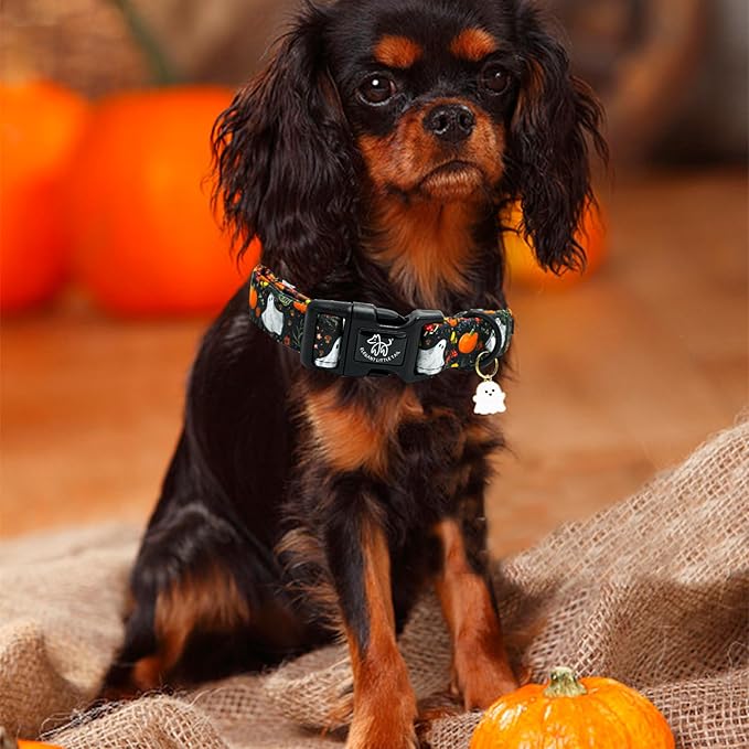 Elegant little tail Halloween Dog Collar, Pumpkin with Ghost Print Black Halloween Pet Collars Cotton Soft Sturdy Puppy Collars Holiday Female Adjustable Collar for Medium Dogs