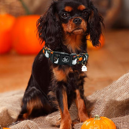 Elegant little tail Halloween Dog Collar, Pumpkin with Ghost Print Black Halloween Pet Collars Cotton Soft Sturdy Puppy Collars Holiday Female Adjustable Collar for Medium Dogs
