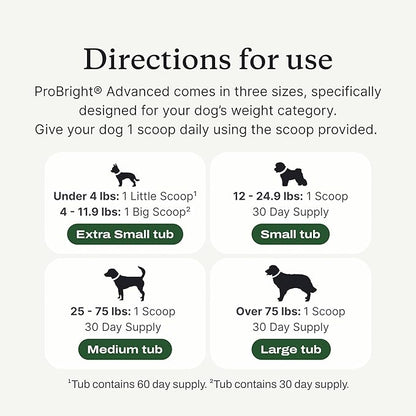 PetLab Co. ProBright Advanced Dental Powder - Dog Breath Freshener - Teeth Cleaning Made Easy – Targets Tartar & Bad Breath - Packaging May Vary - Formulated for Large Dogs