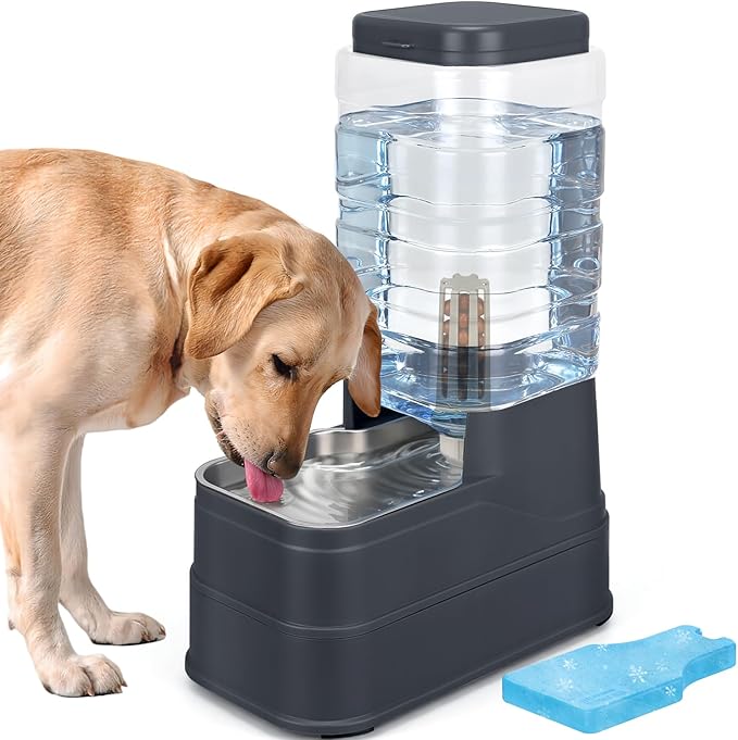 Cat Automatic Feeder Dog Water Dispenser with Stainless Steel Bowl Pet Gravity Waterer Large Capacity Feeding Raised Bowls for Small Medium Large Pets with Filter,Ice Pack 8L
