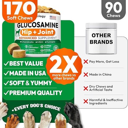 (2 Pack) Glucosamine for Dogs - 340 Mobility Chews - Advanced Hip and Joint Supplement for Dogs - Glucosamine Chondroitin - MSM - Joint Pain Relief
