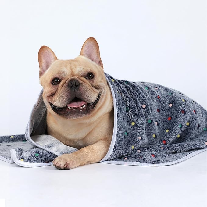Luciphia 1 Pack 3 Blankets Super Soft Cute Dot Pattern Pet Blanket Flannel Throw for Dog Puppy Cat Medium(30x20), Grey
