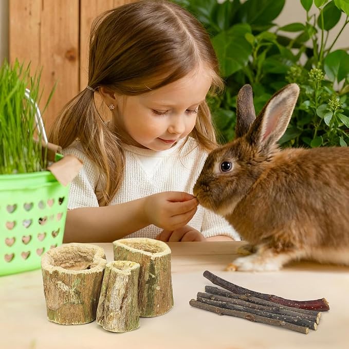 3.5oz Rabbit Chew Toys for Teeth，Bunny Papaya Wood Chew Toys Guinea Pig Treats with Apple Stick for Rabbits Guinea Pigs Hamsters Chinchillas Gerbils Prevent Teeth Overgrowth (3.5 oz, original)
