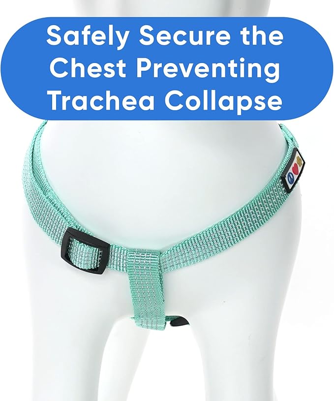Pawtitas Reflective Step-in Dog Harness – Adjustable No-Pull Vest for Puppies to Seniors, Safe & Comfortable, L Teal
