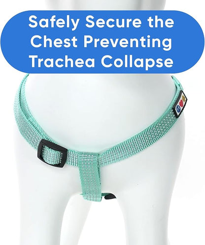Pawtitas Reflective Step-in Dog Harness – Adjustable No-Pull Vest for Puppies to Seniors, Safe & Comfortable, L Teal