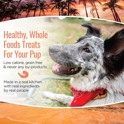 Smart Cookie All Natural Dog Treats - Shrimp & Coconut - Training Treats for Dogs with Allergies, Sensitive Stomachs - Soft Dog Treats, Chewy, Grain Free, Human-Grade, Made in USA - 5oz, Pack of 3