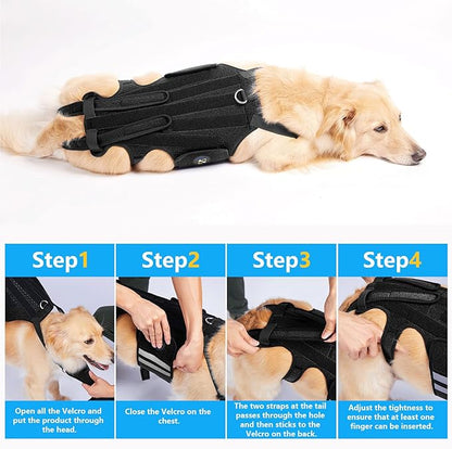Coodeo Dog Back Brace for Dogs Arthritis, Pet Back Bracer for IVDD, Back Protector Helps Pain Relief, Surgical Recovery and Rehabilitation, Dogs Back Disease Prevention. (Black,X-Large)
