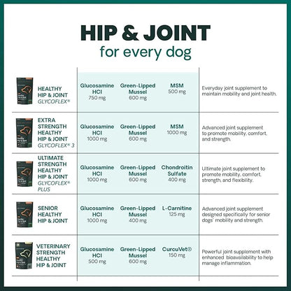 VetriScience Ultimate Strength Hip & Joint Supplement for Dogs, GlycoFlex Plus – MSM, Chondroitin & Green-Lipped Mussel Chews for Mobility, Flexibility, Comfort & Support, Duck Flavor, 120 Cnt