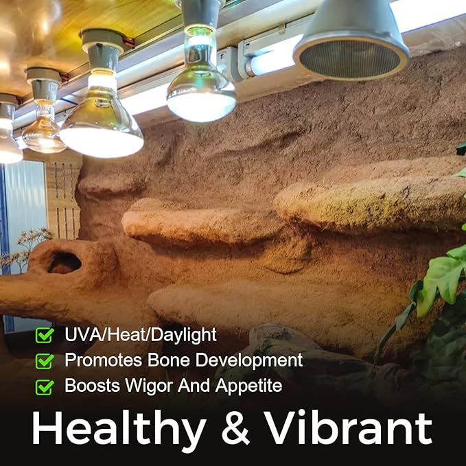 MISDOOD Reptile Heat Lamp 75W, 2 Pack Daylight UVA Basking Light Bulbs with E26 Base for Lizards, Turtles, Snakes and Amphibians