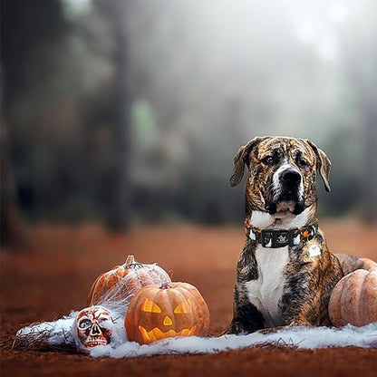 Elegant little tail Halloween Dog Collar, Pumpkin with Ghost Print Black Halloween Pet Collars Cotton Soft Sturdy Puppy Collars Holiday Female Adjustable Collar for Medium Dogs