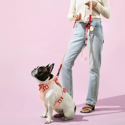 HNS1002G Arlo Medium Adjustable Soft Padded No Pull Pet Harness with 3 Buckles and 3 Leash Clips, Paloma
