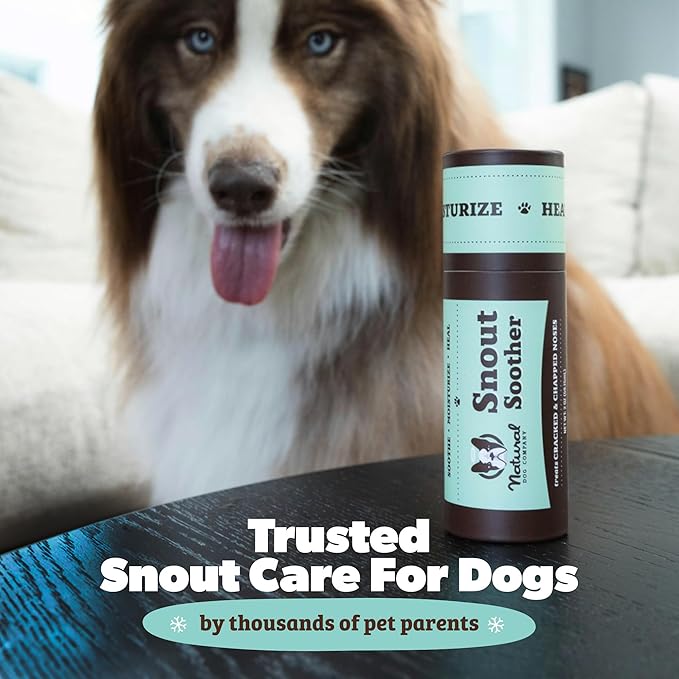 Natural Dog Company Snout Soother Balm – Dog Nose Balm for Dry Cracked Snouts, Moisturizing Winter Nose Care with Coconut Oil & Shea Butter, Lick Safe Dog Snout Balm for All Breeds, 2 oz Stick