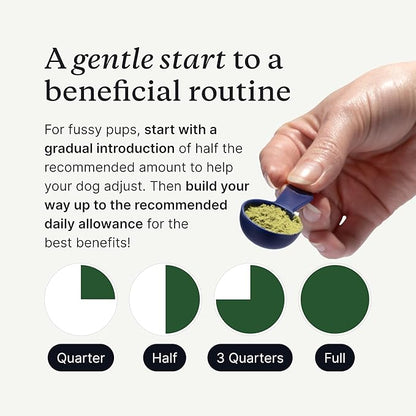 PetLab Co. ProBright Advanced Dental Powder - Dog Breath Freshener - Teeth Cleaning Made Easy – Targets Tartar & Bad Breath - Packaging May Vary - Formulated for Large Dogs