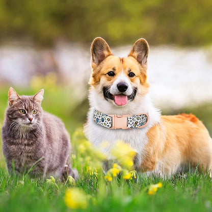 Dog Collar and Leash Set Girls Adjustable Puppy Collars with Floral Bow Tie for Small Medium Large Female Dogs, Solar System, S