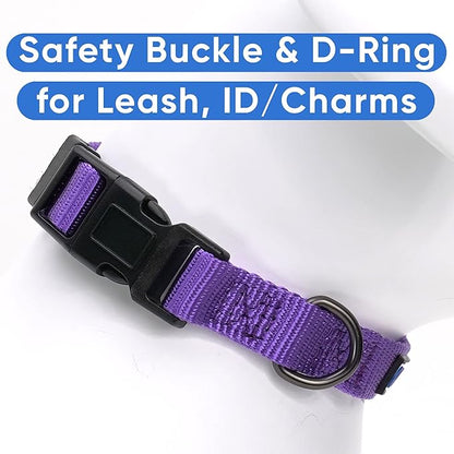 Pawtitas Dog Collar for Large Dogs Adjustable Dog Collar Heavy Duty Waterproof Collars for Dogs with Quick-Release Buckle - Purple Dog Collar for Large Breeds