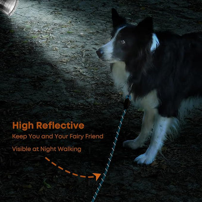 (2 Pack) Long Dog Leash for Dog Training 30FT, Lockable Hook Heavy Duty Dog Lead Tie Out Rope for Large Medium Small Dogs Outside Walking, Playing, Camping, or Yard(Black&Blue)