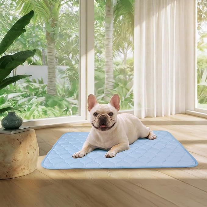Luciphia Waterproof Cooling Mat for Dogs Couch Cover Q-MAX>0.5, Leakproof Pet Pad Non-Slip Throw Blanket for Cat Puppy Crate Bed Protector Outdoor (Light Blue, 30x40 inches)