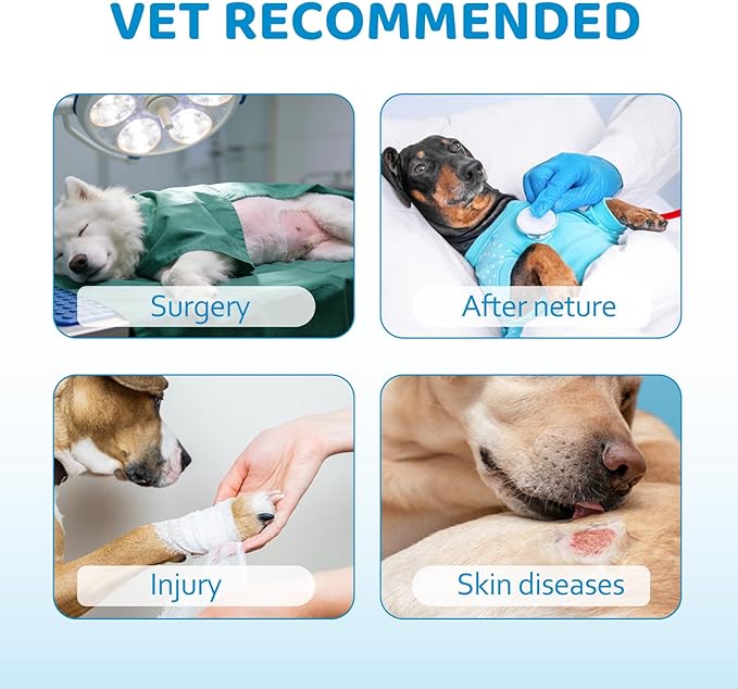 Elizabethan Dog Cone Collar, Adjustable Pet Cone to Stop Licking, Durable Plastic Neck Cone After Surgery for Small, Medium Large Dogs, Bone XS