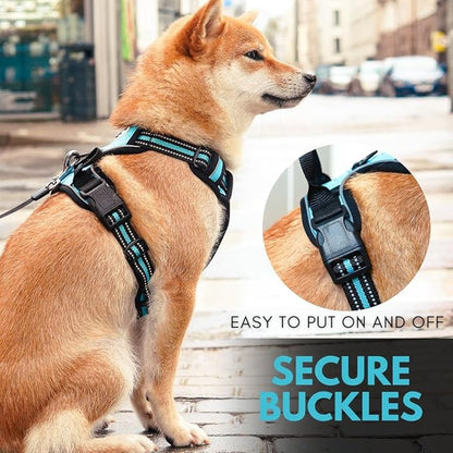 Ziggy Pet Dog Harness Adjustable Nylon Mesh Vest with Leash Clips (Blue, Large)