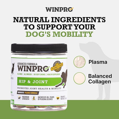 WINPRO Hip & Joint Supplement for Dogs - Plasma Powered Chews for Joint Health & Mobility – Fast-Acting with Collagen & Natural Ingredients for Dogs of All Breeds – 60 Chews – Made in USA
