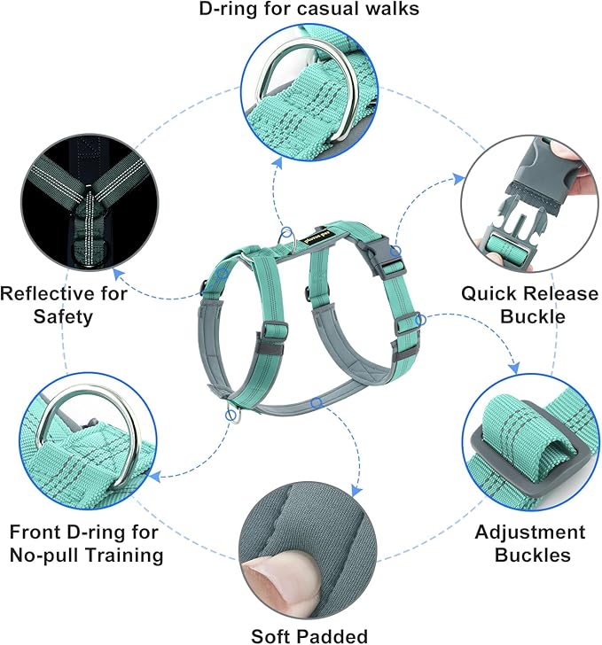 Plutus Pet No Pull Dog Harness, Adjustable Nylon Harness with Soft Padding, Reflective and Heavy Duty Dog Harness for Small, Medium, Large Dogs(Teal, XL)